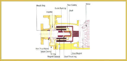 Seal Less Magnetic Driven Pump